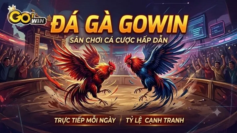 Các Hình Thức Thi Đấu Kịch Tính Được Ưa Chuộng Nhất